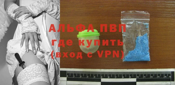спайс Богданович