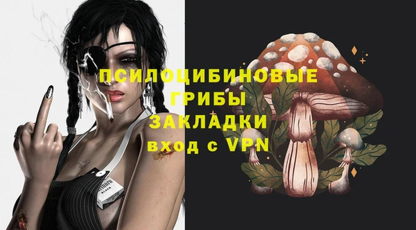 спайс Богданович