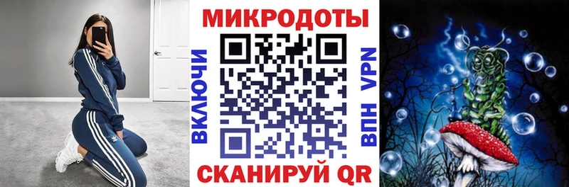 Псилоцибиновые грибы Cubensis  Купить где  Наволоки 
